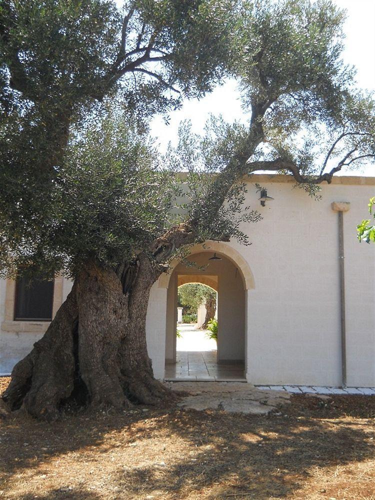 Masseria De Michele Montalbano  Exterior photo